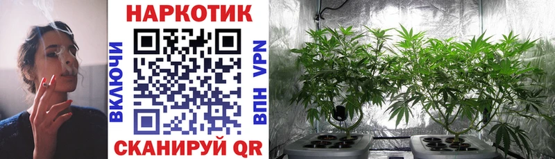 Где продают наркотики Ессентукская Alpha-PVP  АМФЕТАМИН  МЕФ  ГАШИШ  Бошки Шишки 